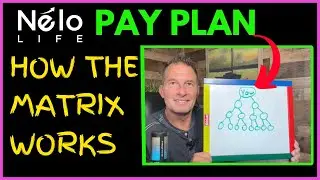 💰 Nelo Life Pay Plan | How The Matrix Works
