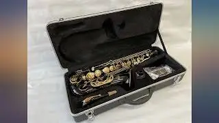 OPUS USA Professional Black-Gold Keys Eb E Flat Alto Saxophone Brand New review