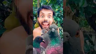 Maiiii eta eta 😃🤣#funny #shorts #rintufunnyworld #youtube shorts#yt shorts#youtube #viral