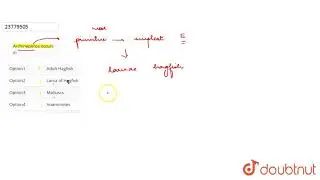 Archinephros occurs in