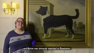 Byron 200 - Dog collar