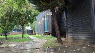Light Rain Beside a Wooden Cabin | Peaceful Nature Sounds for Sleep and Relaxation