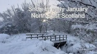 January Snow in North East Scotland 