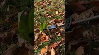 Floating Leaf 360 Camera Video Idea 💡. Shot with Insta360 X3 #insta360