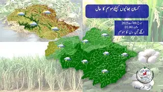 Farmer's Weather Forecast in Pakistan | 08 August 2025 | PMD Agriculture Advisory