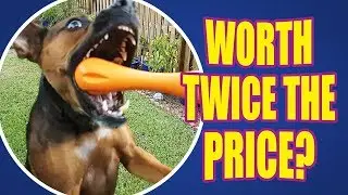 Best fetch AND chew toy? -  DOG TOY REVIEWS - West Paw Hurley Dog Bone
