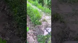 V&iacute;deos engra&ccedil;ados   essa d&aacute; para capinar tudo 😂😂😂