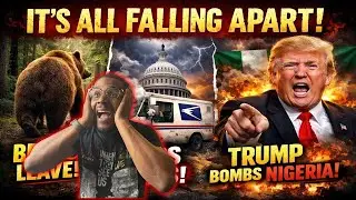 It&rsquo;s All Falling Apart: Bears Leave, USPS Fails, & Trump Bombs Nigeria.