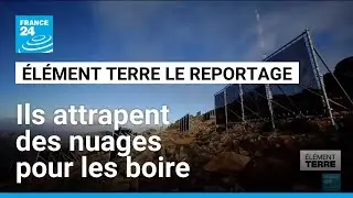 Dans le désert marocain, des filets pour capter l'eau des nuages • FRANCE 24