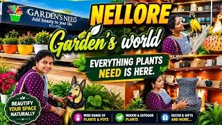 amazing plants nursery | gardening needs |Garden world magunta layout Nellore #gardenworld #nellore