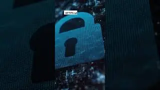 How the HTTPS Protocol Protects Your Sensitive Data