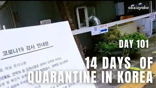 Day 101 My 14 Days Quarantine in Korea | PCR-Test | Вернулась в Корею | Карантин 14 дней | ПЦР