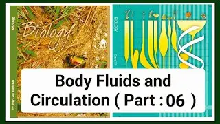 Body Fluids And Circulation Class 11 | Human Blood Circulatory System | Heart Anatomy And Physiology