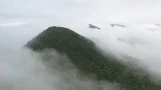 РЕЛАКС ПЛАНЕТА ЗЕМЛЯ ЛЕС