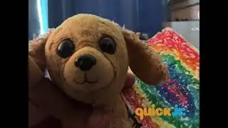 Quick Jr. Channel (2006-2026) Continuity Commercial Break (Airing Template)