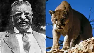 Theodore Roosevelt: The Man, the Myth, the Bull-Moose