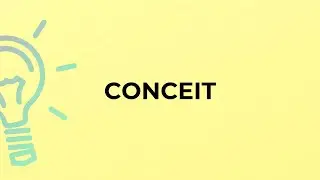 What is the meaning of the word CONCEIT?
