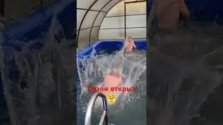 8 июня 2024 г.