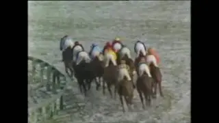 1987 Gold Cup Cheltenham The Thinker