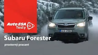 TEST: Subaru Forester - prostorný pracant