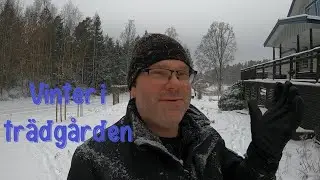 Trädgården på vintern – förberedelser för säsongen 
