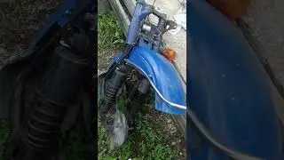 29 июля 2024 г.