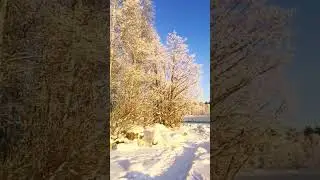 Суходольское оз., -20&deg;С, начало Лосевских порогов на Вуоксе #зима #travel