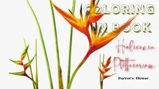 Adult coloring book tips 🎯Heliconia Flower🪷