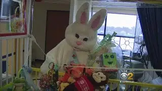 Easter Bunny Visits La Rabida Children's Hospital