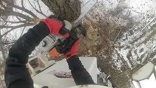 elm removal over a 7.2kv