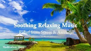 Nature sounds, piano music, and a variety of genres, relaxing Music, Spa Music &copy; Meditation Muse