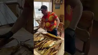 OKAZY NA PREZENT 🐟 NELMA MUKSUN CHIR #ryba #jedzenie #dostawa
