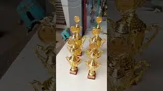 wholesale rate Watsapp on 8104152556 #trophies #trophy #cricket