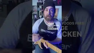 You&rsquo;re practicing wrong #guitar #guitarplaying #guitarlessons #wamplerpedals #stringjoy