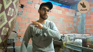 التعامل مع الارنب من الولادة الى الفطام