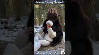 Heroes Saving Animals in Real-Life Rescues 🐾 | Part 10 ❤️