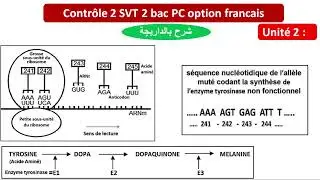 Contrôle 2 svt 2 bac pc nature et mécanisme de l'information génétique unité 2 (شرح بالداريجة)