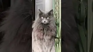 she saw the bird outside maybe she imagined something 😋