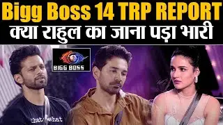 Bigg Boss 14 TRP Report: Salman Khan के शो में क्या आई जान | Shudh Manoranjan