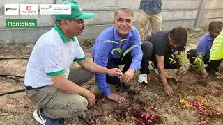 CATCH Foundation and Murrugappa Morgan create an urban forest in Kadi, planting 5,750 native trees.
