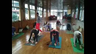 Yoga Teacher Training in Rishikesh | Yoga School in Rishikesh | Rishikul Yogshala