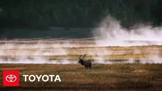 Battery Life After Cars | The Toyota Effect | Toyota
