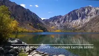 Fall Colors in Mono County - California's Eastern Sierra