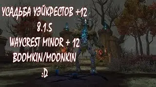 Усадьба Уэйкрестов + 12 (+1) Сова/Balance/Boomkin / Waycrest Manor 8.1.5 EASY RUN