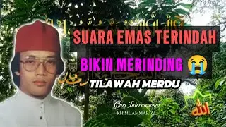 TILAWAH SUARA EMAS TERINDAH Bikin merinding 😭 KH MUAMMAR ZA qari internasional 🌴