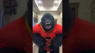 Новый тренд #горилла #кингконг#monkeybanana