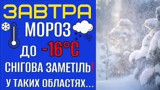 ПОТУЖНИЙ МОРОЗ ТА СНІГОВА ЗАМЕТІЛЬ?! - Прогноз погоди на 31 Грудня