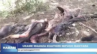 HABARI ZA KITAIFA NA KIMATAIFA 21.01.2026