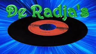 De Radja's - Meisje waarom heb je toch gelogen - Vinyl 1981