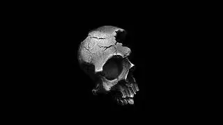 [FREE] DARK TRAP TYPE BEAT 2024 - 'SLAUGHTER' (Prod. SRGSbeats)